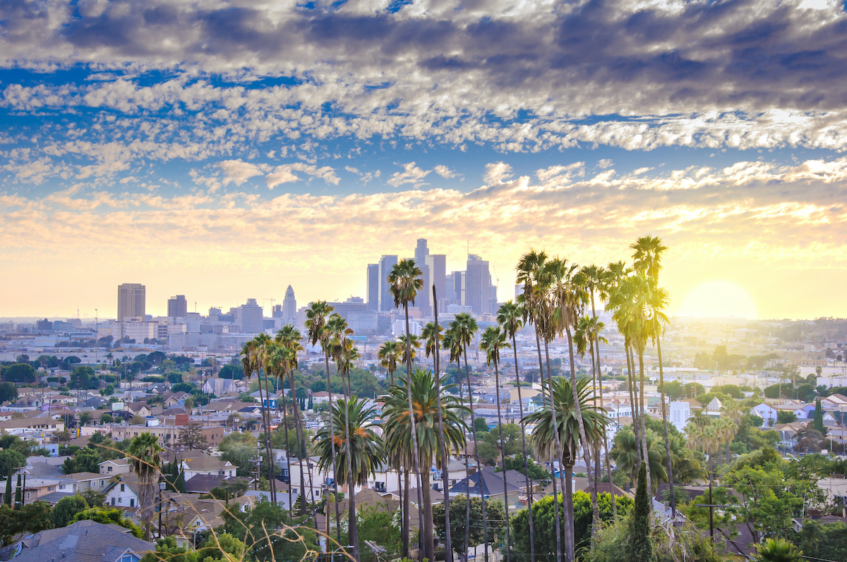 Beautiful sunset of Los Angeles downtown skyline and palm trees in foreground